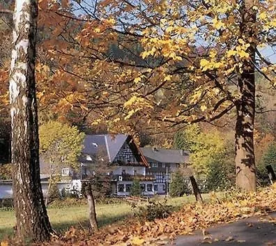 Tommes Gaestehaus Zur Muehle Schmallenberg