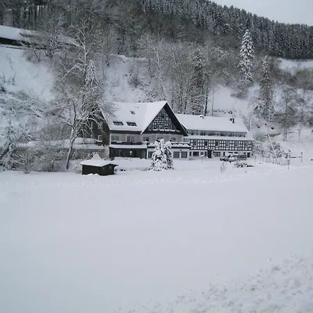Penzion Tommes Gaestehaus Zur Muehle 3*