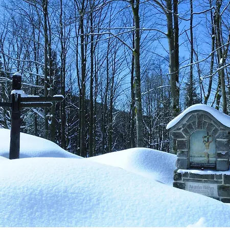 汤姆斯祖尔缪旅馆 招待所 3*