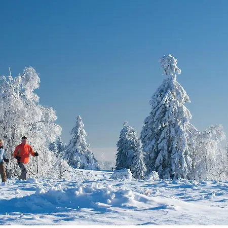 Tommes Gaestehaus Zur Muehle Casa de hóspedes
