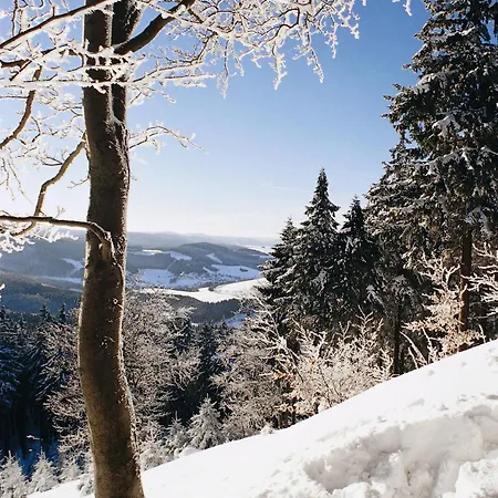 Affittacamere Tommes Gaestehaus Zur Muehle 3*