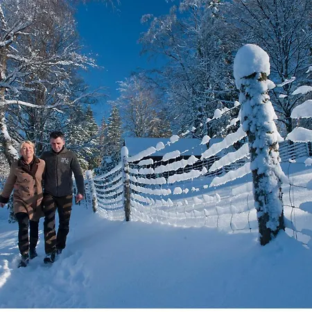 汤姆斯祖尔缪旅馆 3*