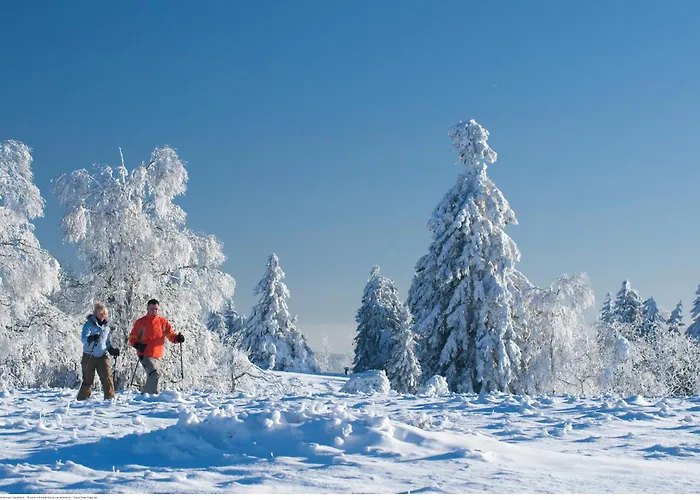 Tommes Gaestehaus Zur Muehle Casa de hóspedes