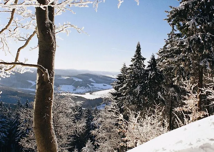 Konukevi Tommes Gaestehaus Zur Muehle 3*