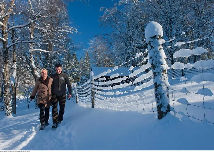 Tommes Gaestehaus Zur Muehle 3*